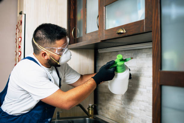 Best Wasp Removal Services  in Umatilla, OR